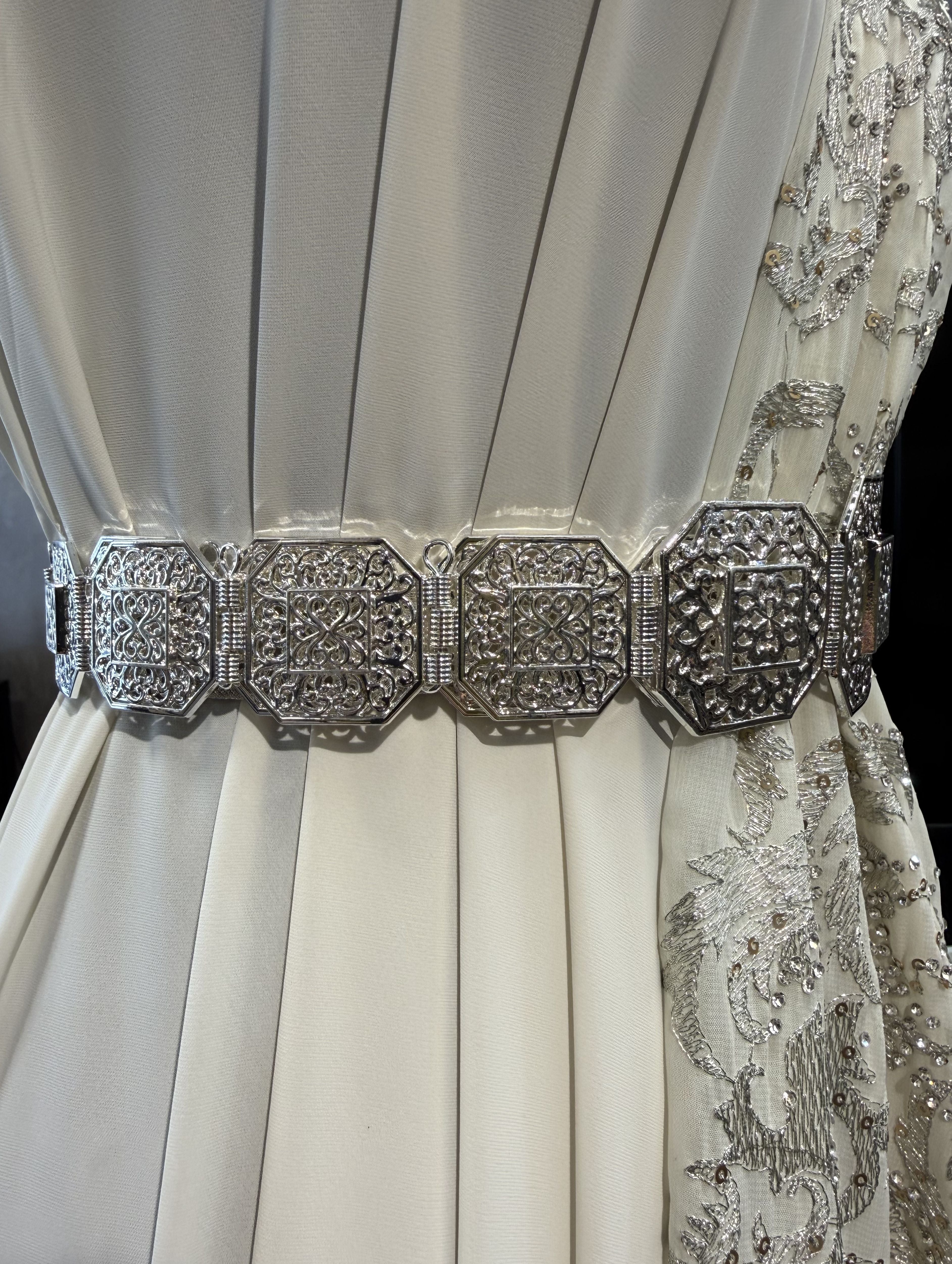 Zijkant van zilveren mdamma riem met schakelstructuur